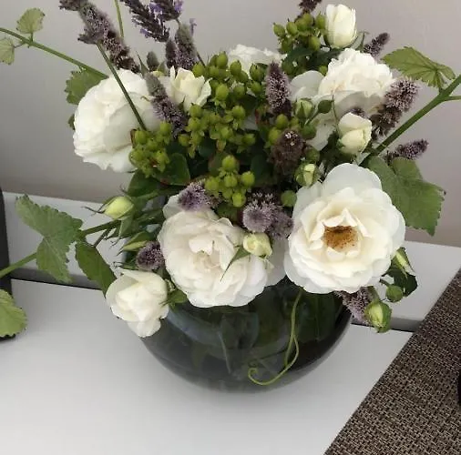 Gut Bielenberg Kollmar